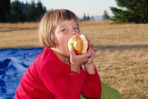 el niña comiendo manzana en naturaleza foto