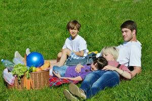 familia feliz jugando juntos en un picnic al aire libre foto