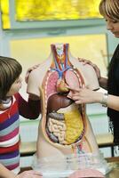 aprender biologia en la escuela foto