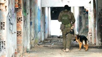 moderno guerra soldados con militar trabajando perro en acción en el campo de batalla. foto