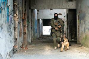 moderno guerra soldados con militar trabajando perro en acción en el campo de batalla. foto