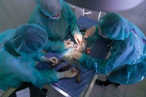 Real abdominal surgery on a cat in a hospital setting photo