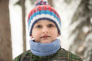 little boy having fun on winter day photo