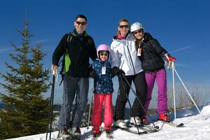 portrait of happy young family at winter photo