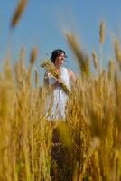 young woman in wheat field at summer photo