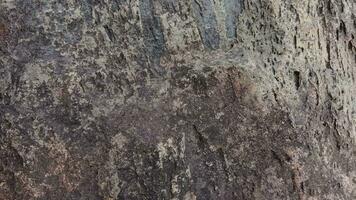 rough stone texture for background photo