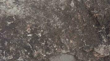 rough stone texture for background photo