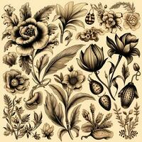 Black and white drawings of flowers and plants, hand drawings photo