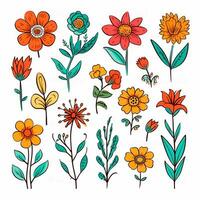 Color drawings of flowers and plants, hand drawings photo