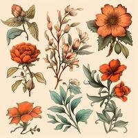 Color drawings of flowers and plants, hand drawings photo