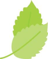 Herb Leaf Vector Icon