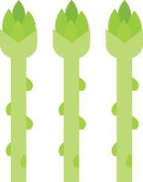 Asparagus Vector Icon