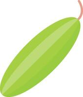 Cucumber Vector Icon