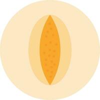 Rockmelon Vector Icon