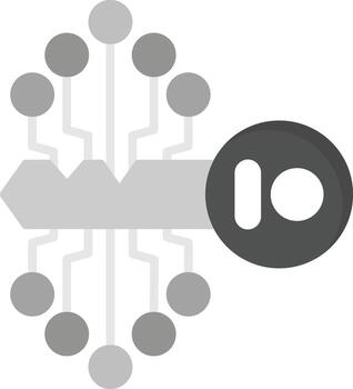 Digital Key Vector Icon