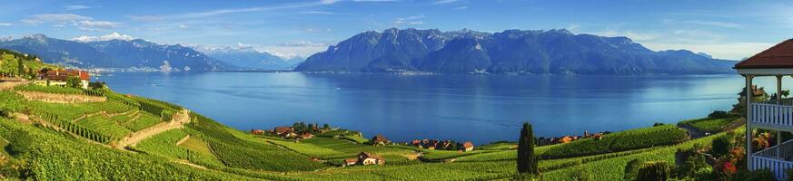 Panorama on Lavaux region, Vaud, Switzerland photo