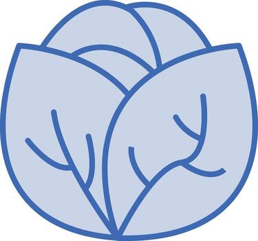 Cabbage Vector Icon