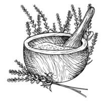 Mortar and pestle with Lavender Flowers. Hand drawn vector illustration for alternative medicine or essential oil production on white isolated background. Line art vintage drawing for aromatherapy.