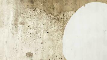 White concrete wall photo