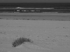 summer time on langeoog island photo