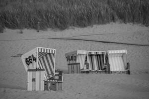 summer time on langeoog island photo