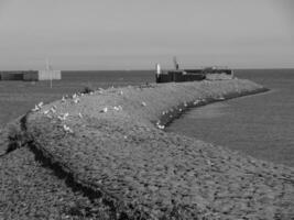 langeoog island in germany photo