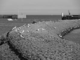 langeoog island in germany photo