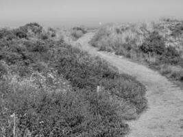 isla langeoog en alemania foto