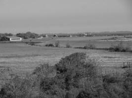 langeoog island in germany photo