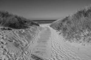 the beach of langeoog island photo