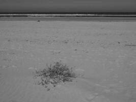 summer time on langeoog island photo