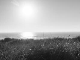 langeoog island in germany photo