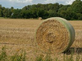 summer time in the germany westphalia photo