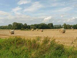 summer time in the germany westphalia photo