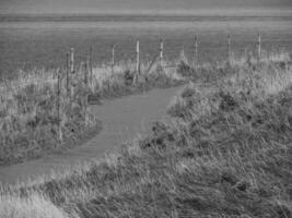 at the baltic sea in poland photo