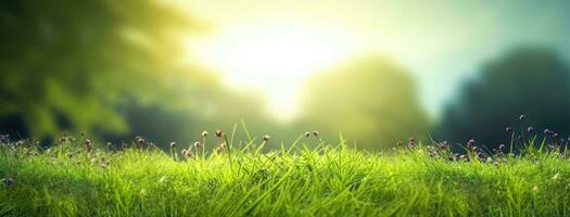 Lush green grass on meadow in morning light, spring summer outdoors close-up, copy space, wide format. A beautiful artistic depiction of the purity and freshness of nature. AI Generated photo