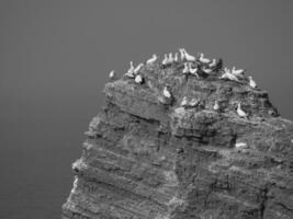 Helgoland island in germany photo