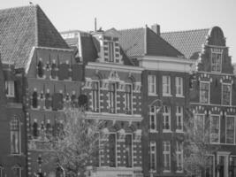 the city of Haarlem in the netherlands photo