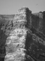 Helgoland island in the north sea photo