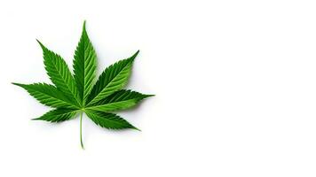 Cannabis leaf isolated on white background with copy space for text. AI Generated photo