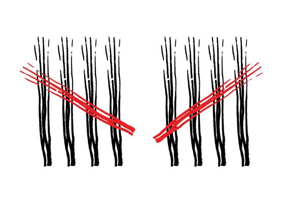 Charcoal Feather tally marks four sticks crossed vector illustration.