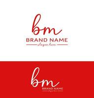 bm Letter Handwriting Signature Logo bm icon Design vector