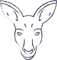 Kangaroo face hand drawn vector illustration