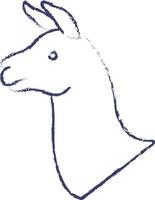 Llama face hand drawn vector illustration