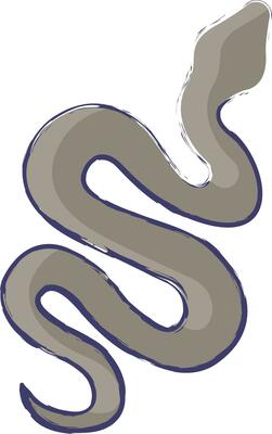 Snake hand drawn vector illustration