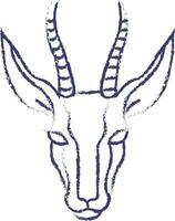 Gazelle face hand drawn vector illustration