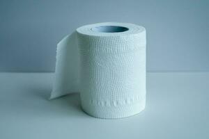 1 roll of tissue with a white background. photo