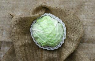 fresh cabbage wrap by foam on a brown fabric background photo