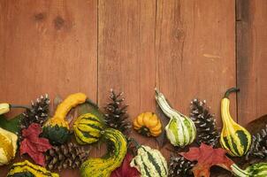 Red Barn Wood With Gourds and Pinecones photo