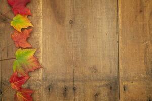 Bright Colored Leaves on Old Barn Wood photo